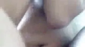 মাকড়সার মধ্যে কোবি! ...