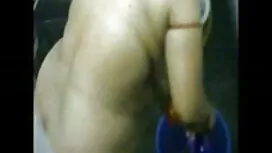 বালিশ মাই-স্টেলা কক্ ...
