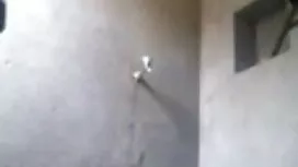পরিণত, স্বামী বিএফ স ...