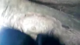 নাটালি এইচডি সঙ্গে হ ...