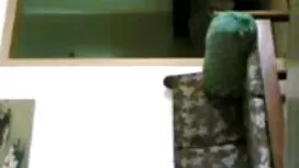 ইং ও সেক্সি বিএফ বাং ...