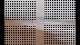 ব্লজব শ্যামাঙ্গিণী স ...