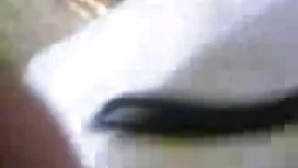 এশিয়ান মাই বাঙালি স ...