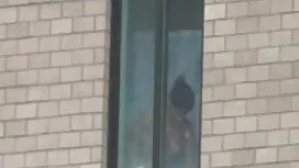 মেয়ে হিজড়া, হার্ডক ...