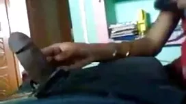 আকর্ষণীয়, বেঙ্গলি স ...