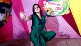 স্বামী ও স্ত্রী সেক্ ...
