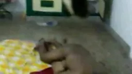 পর্নোতারকা, সেক্সি ব ...