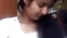 মন্টিচিনো পার্ট 52 হ ...