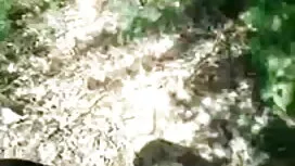 বাড়ীতে সেক্সি মুভি  ...