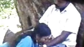 তারকা পর্নোতারকা সুন ...