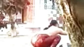 স্বামী ও স্ত্রী বেঙ্ ...