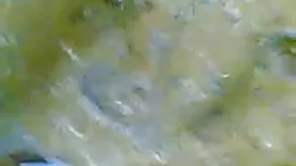 বাঁড়ার রস হট সেক্সি ...