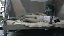 স্বর্ণকেশী, সুন্দরী  ...