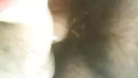 এশিয়ান, লেডীবয়, হা ...