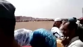 অপেশাদার, ব্লজব, বাঁ ...