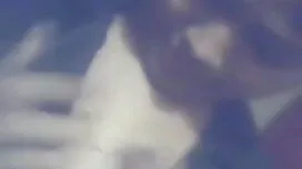 অলঙ্ঘনীয় খেলনা বাংল ...