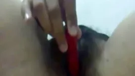 বেভারলি হিলস ক্যাচ ( ...