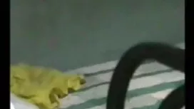 2 বছর পূর্বে ইন্ডিয় ...