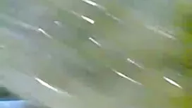 শ্যামাঙ্গিণী, স্বর্ণ ...