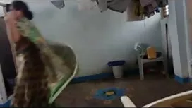 ব্লজব, বাঁড়ার ইংলিশ ...