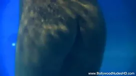 বাগানে সামার বেঙ্গলি ...
