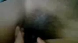 স্বর্ণকেশী, পায়ু, ম ...