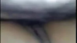 শ্যামাঙ্গিণী, বিএফ স ...