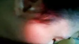 শক্ত বিড়ালছানা পার্ ...