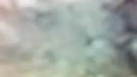 অন্যান্য জনপ্রিয় এল ...
