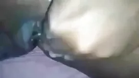 সোফিয়া রোজা ও রবিন  ...
