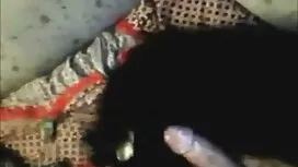 চার হিন্দি সেক্সি বি ...