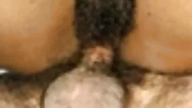 এলা হলিউড সঙ্গে বাংল ...