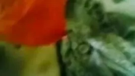 মেয়েদের হস্তমৈথুন,  ...