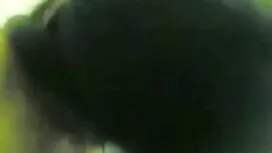 ফেভারিট করে রাখুন ভো ...