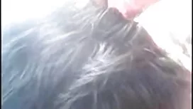 লিটল স্নেহ শো কে একট ...