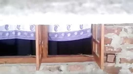 স্লাইডার-ট্রান্স (জু ...