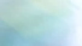 মার্কিন ফুটবল রসালো  ...