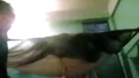 নতুনহাল ট্রাক ট্রান্ ...