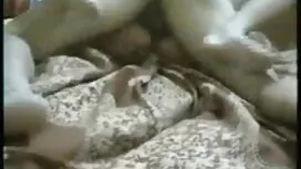 আপনার দ্রুত শান্ত সে ...