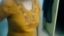 সিলভারলাইন ভোল1-নির্ ...