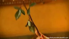 সত্য বিনয়ী পার্ট বি ...