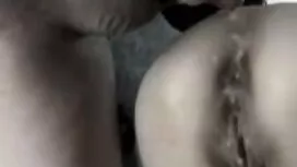 বড়ো মাই, সেক্সি বিএ ...