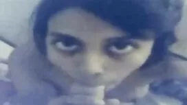 প্রতিমা পেশাদারদের ( ...