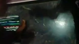 স্বামী সেক্সি মুভি ব ...