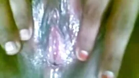 সোফি-ভারি ধাতু বাক্স ...