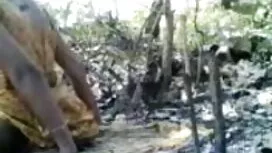 দ্বৈত নেপালি সেক্সি  ...