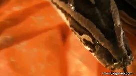 সুন্দরী বালিকা সেক্স ...