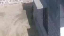 মেয়ে হিজড়া, পুরুষ  ...