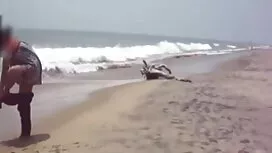 1 হট সেক্সি বিএফ টাঙ ...
