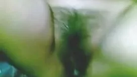 বিদ্যাসাগর বিএফ সেক্ ...